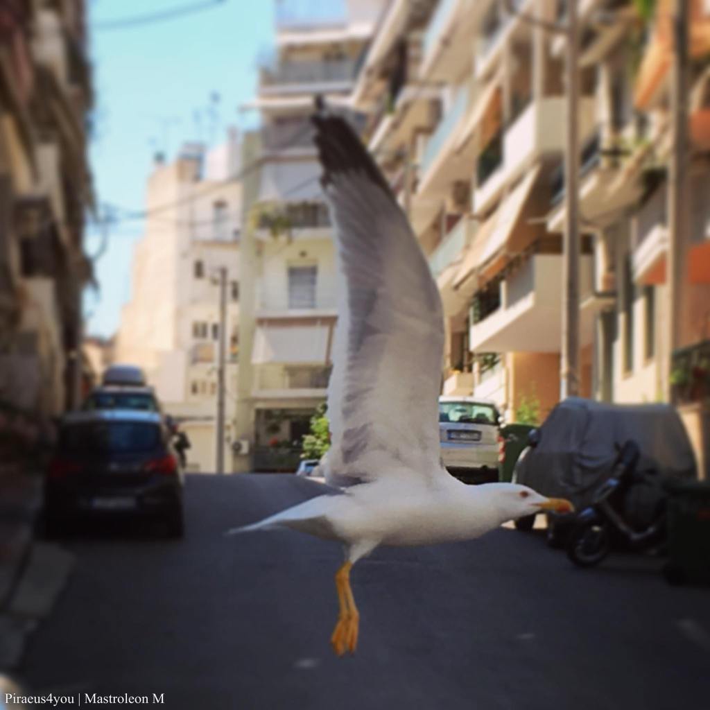 Cabaret grec, musique et chansons grecques